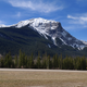Illustration for article titled Edmonton to Kamloops, great second day. (pic dump)